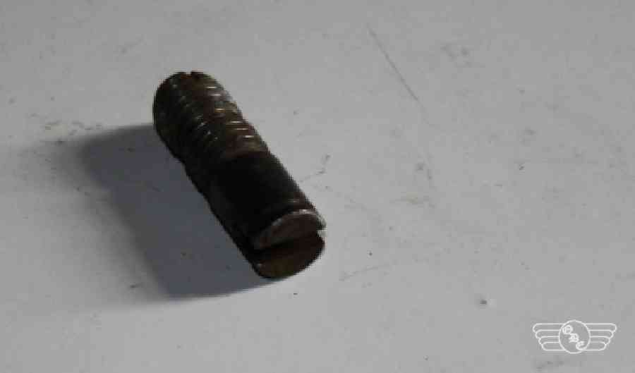 Lagerschraube M54